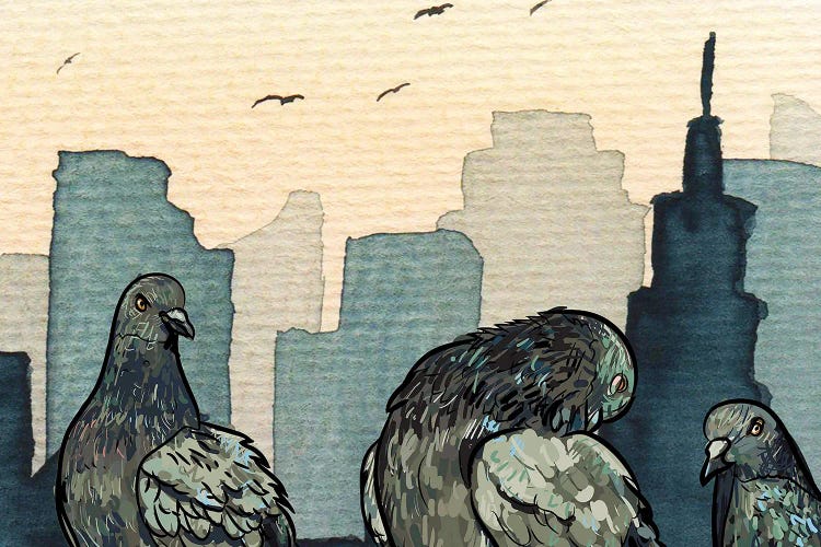 Pigeons In The City