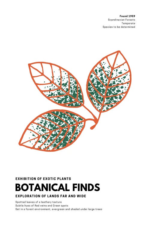 Botanical Finds Gallery Poster Scandinavian by Page Turner wall art