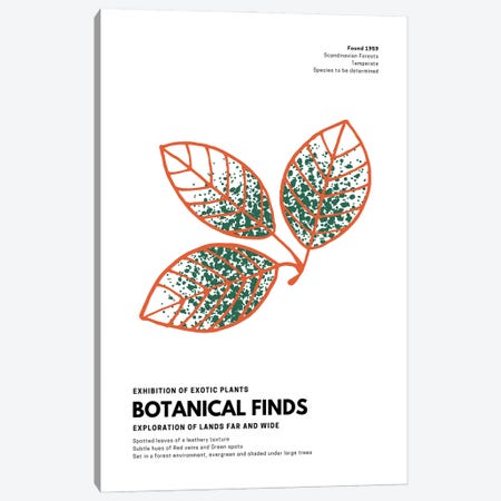 Botanical Finds Gallery Poster Scandinavian Canvas Print #DHV3} by Design Harvest Art Print