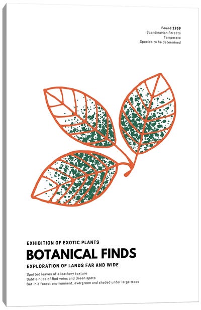 Botanical Finds Gallery Poster Scandinavian Canvas Art Print - Page Turner
