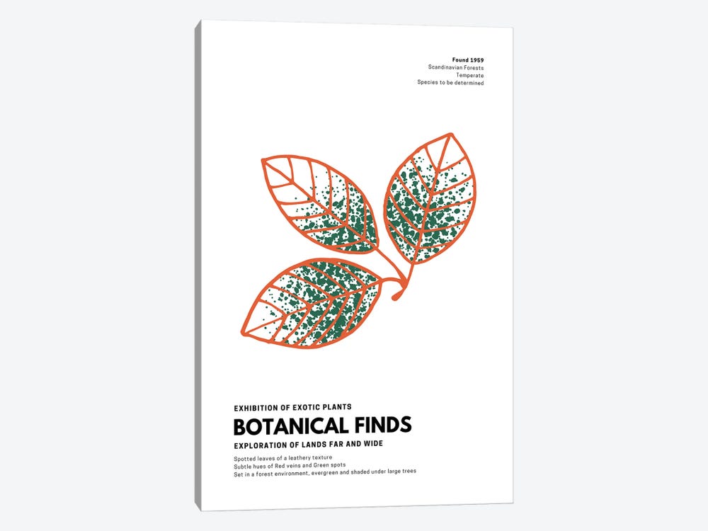 Botanical Finds Gallery Poster Scandinavian by Page Turner 1-piece Canvas Art Print