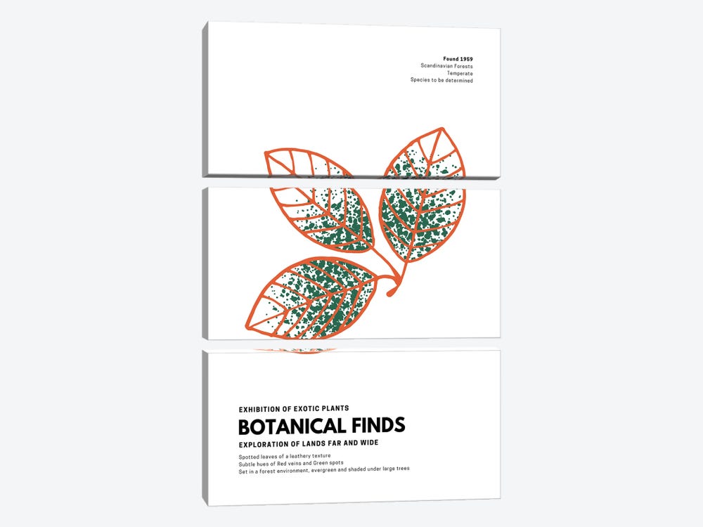 Botanical Finds Gallery Poster Scandinavian by Page Turner 3-piece Canvas Art Print