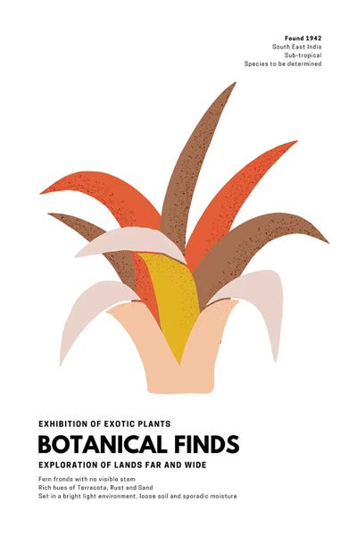 Botanical Finds Gallery Poster India by Page Turner art print