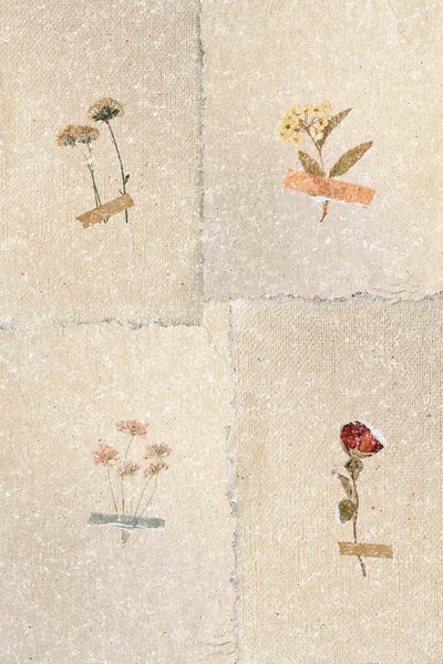 Vintage Flower Collection by Page Turner acrylic art print