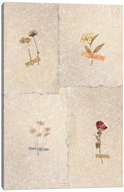 Vintage Flower Collection Canvas Art Print - Page Turner