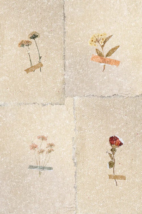 Vintage Flower Collection by Page Turner wall art