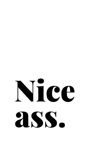 Crude Humor: Nice Ass Bathroom Quote by Page Turner