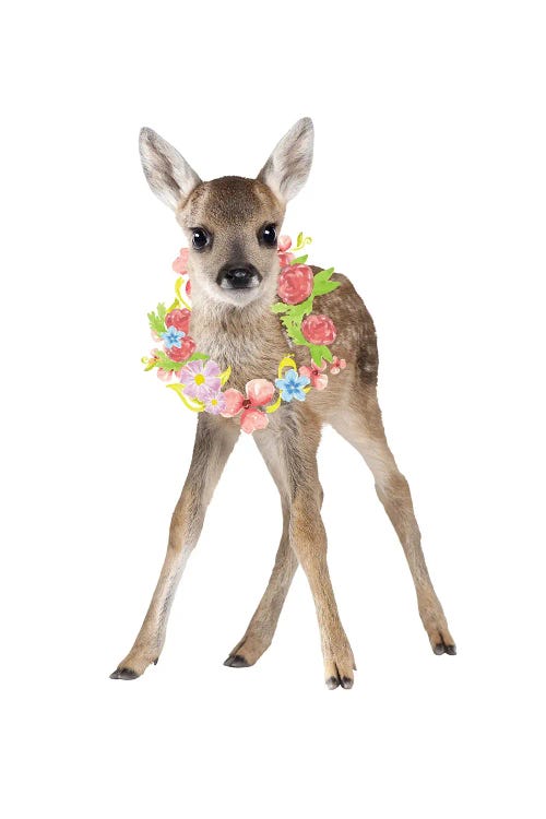 Fawn Deer Photography With Watercolour Flower Wreath