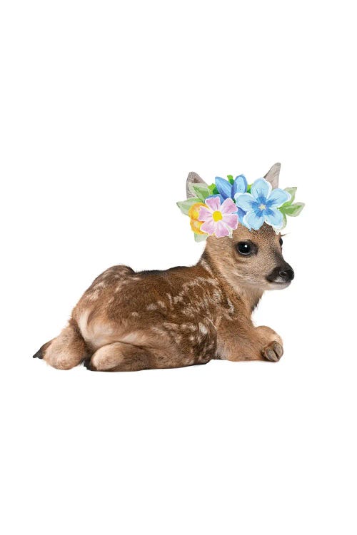 Fawn Deer Photography With Watercolour Flower Crown by Page Turner wall art