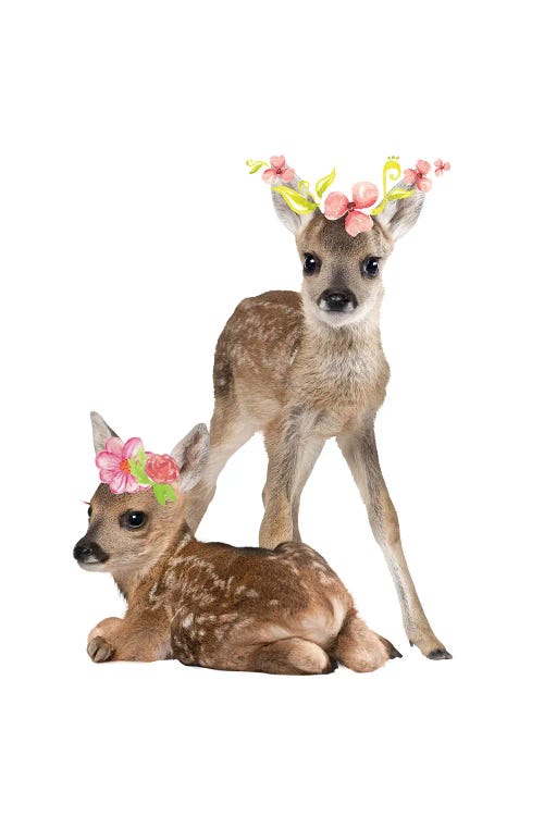 Fawn Deers Photography With Watercolour Flower Crowns by Page Turner wall art