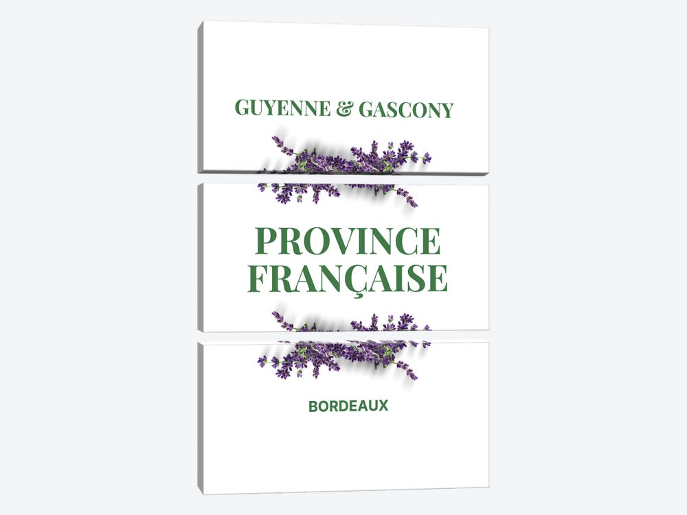 French Provincial Guyenne And Gascony With Lavender by Page Turner 3-piece Canvas Art Print