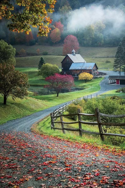 Take A Hike: Untitled by David H. Yang