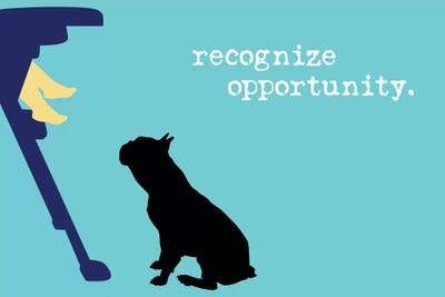 Opportunity II by Dog is Good and Cat is Good acrylic art print