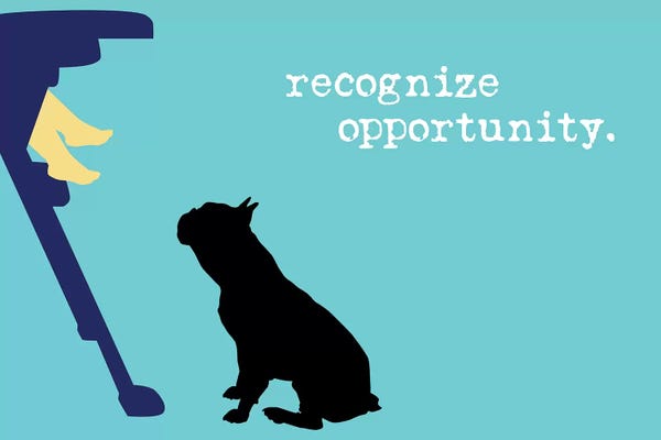 French Bulldogs: Opportunity II by Dog is Good and Cat is Good