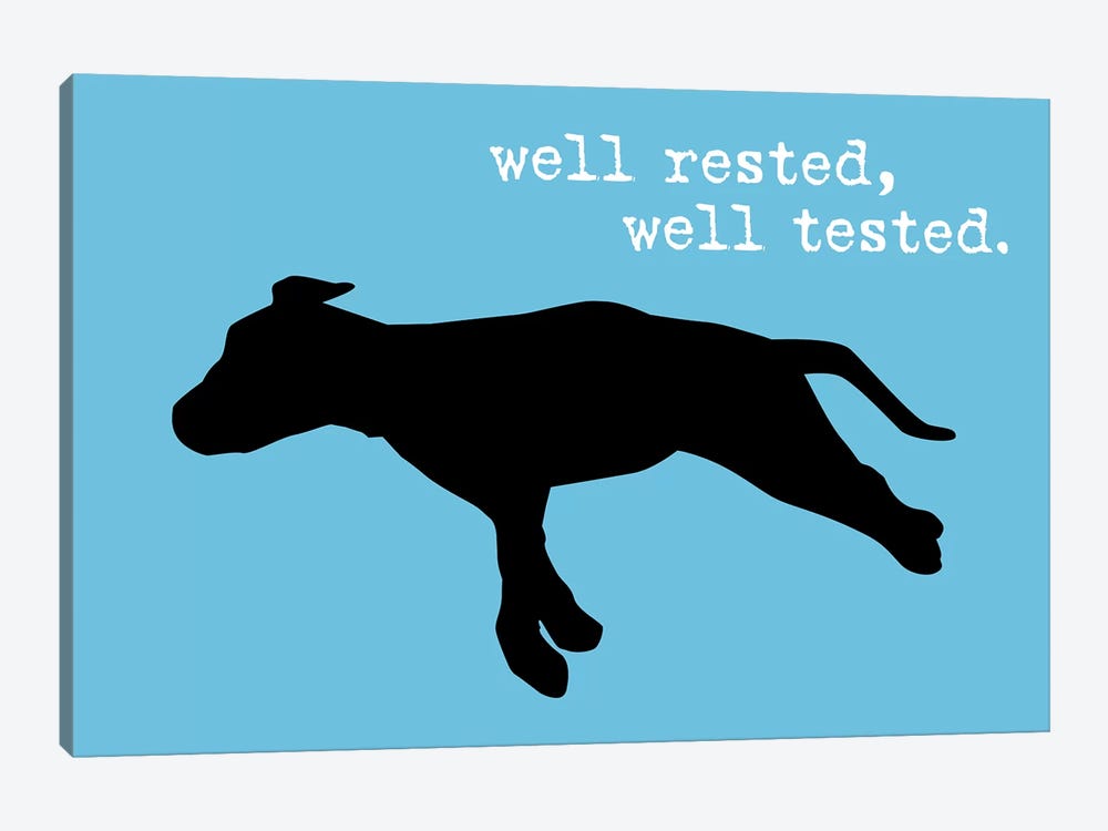 Well Rested III by Dog is Good and Cat is Good 1-piece Canvas Wall Art