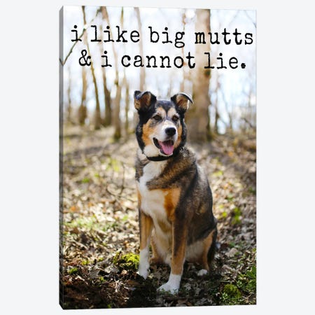 Big Mutts - Realistic Canvas Print #DIG10} by Dog is Good and Cat is Good Canvas Art Print