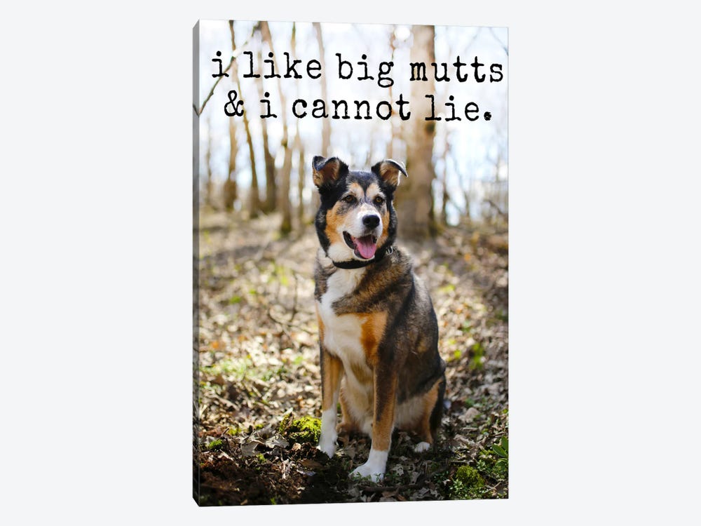 Big Mutts - Realistic by Dog is Good and Cat is Good 1-piece Canvas Artwork