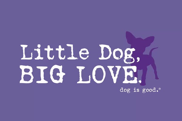 Chihuahuas: Little Dog Big Love by Dog is Good and Cat is Good