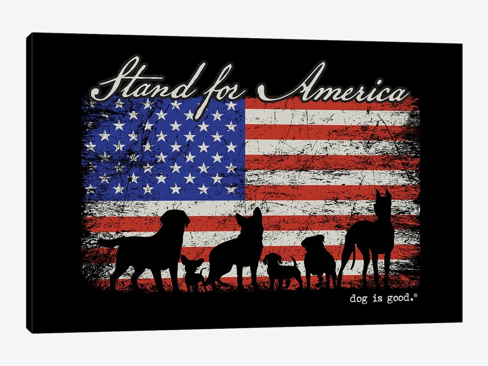 Stand For America by Dog is Good and Cat is Good 1-piece Canvas Art