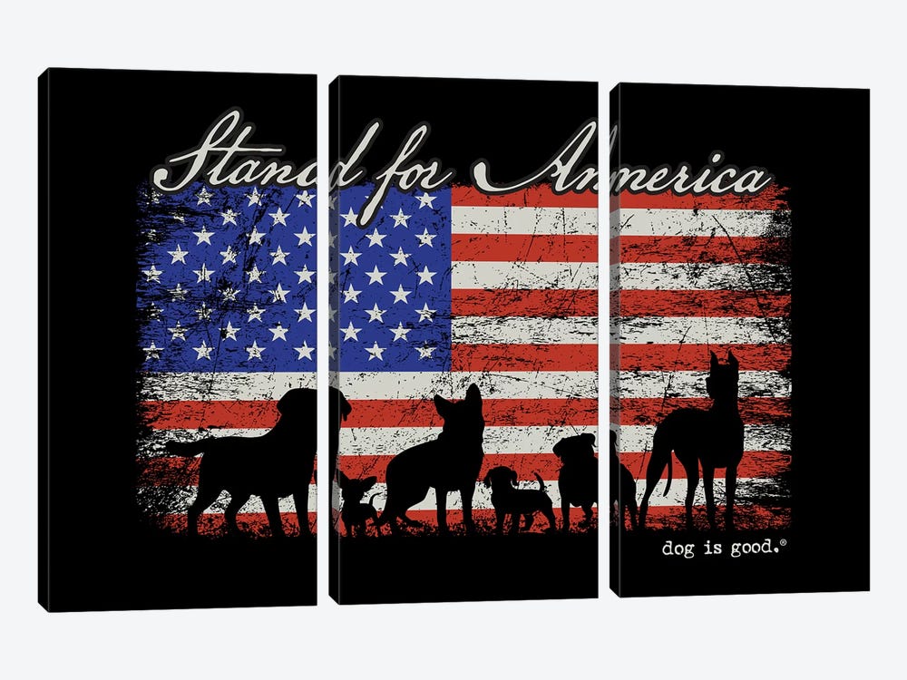 Stand For America by Dog is Good and Cat is Good 3-piece Canvas Wall Art