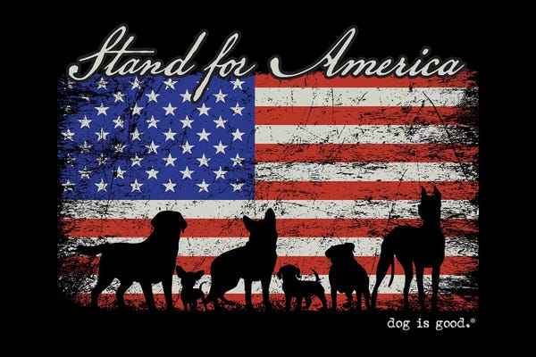 American Décor: Stand For America by Dog is Good and Cat is Good