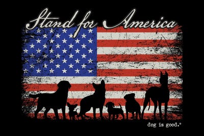 Stand For America by Dog is Good and Cat is Good framed canvas print