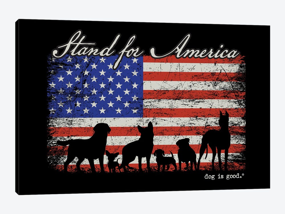 Stand For America by Dog is Good and Cat is Good 1-piece Canvas Print