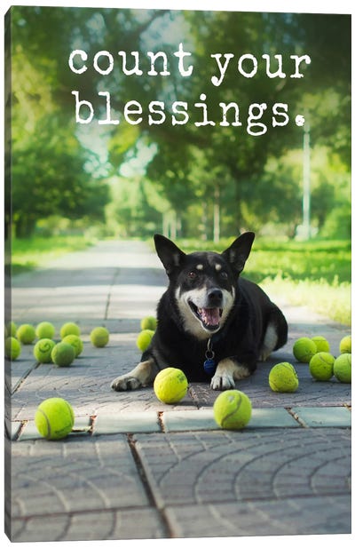 Blessings - Realistic Canvas Art Print - Dog Photography