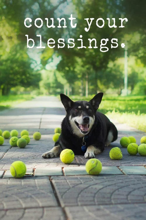 Blessings - Realistic by Dog is Good and Cat is Good wall art