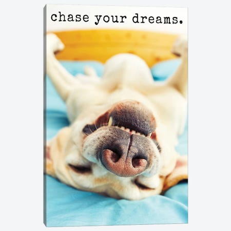 Chase Dreams - Realistic Canvas Print #DIG15} by Dog is Good and Cat is Good Canvas Art
