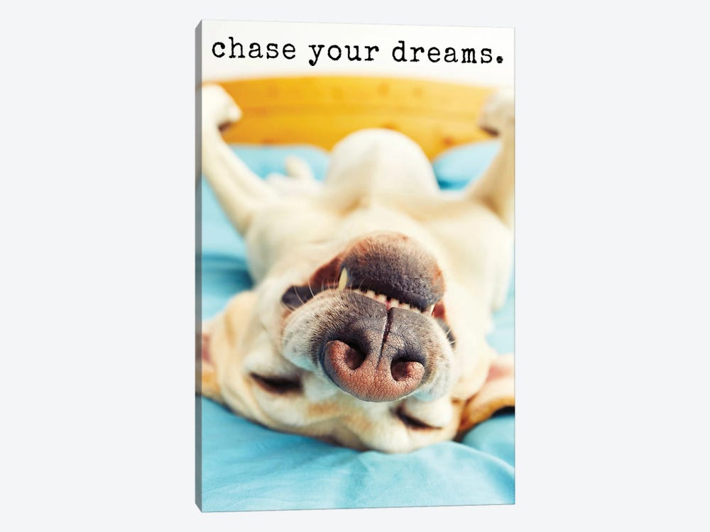 Chase Dreams - Realistic by Dog is Good and Cat is Good 1-piece Art Print