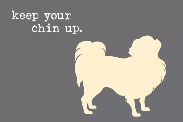 Pomeranians: Chin Up by Dog is Good and Cat is Good