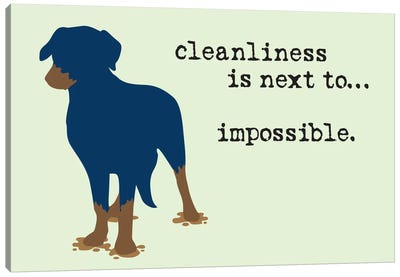 Cleanliness Canvas Art Print - Dog is Good and Cat is Good