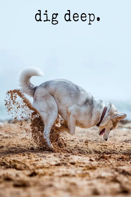 Dig Deep - Realistic by Dog is Good and Cat is Good wall art