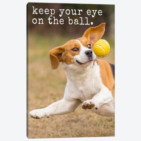 Eye On Ball - Realistic Canvas Print #DIG25} by Dog is Good and Cat is Good Canvas Print