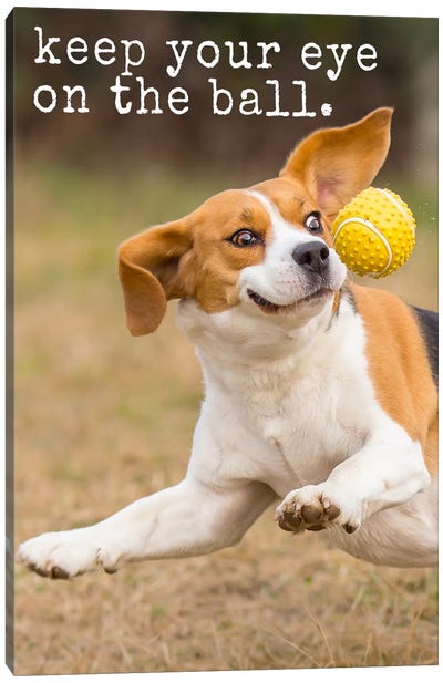 Eye On Ball - Realistic Canvas Art Print - Dog is Good and Cat is Good
