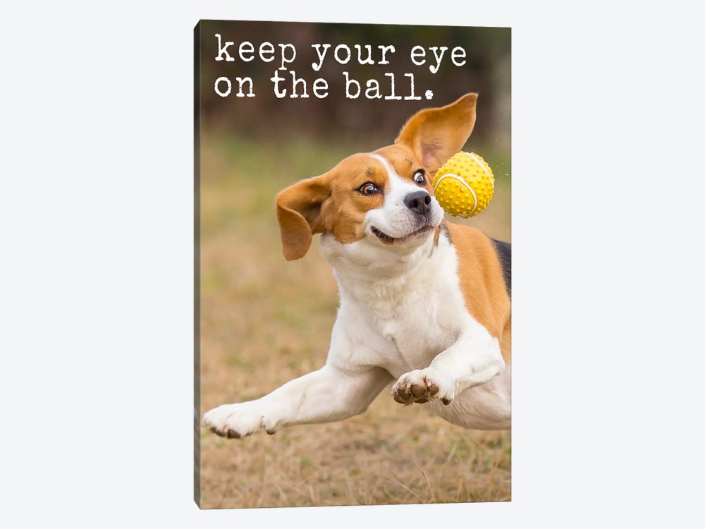 Eye On Ball - Realistic by Dog is Good and Cat is Good 1-piece Canvas Artwork
