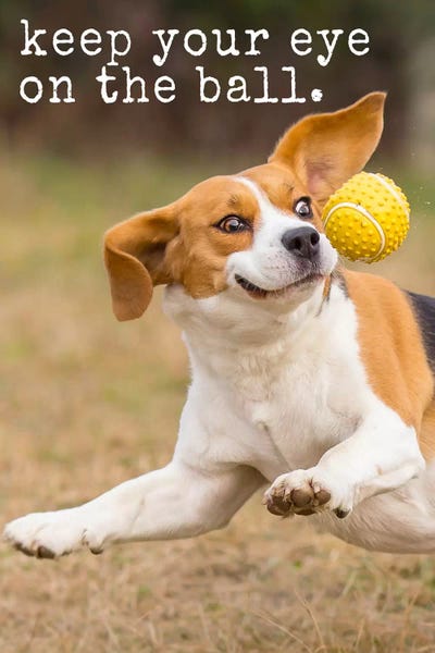 Jack Russell Terriers: Eye On Ball - Realistic by Dog is Good and Cat is Good