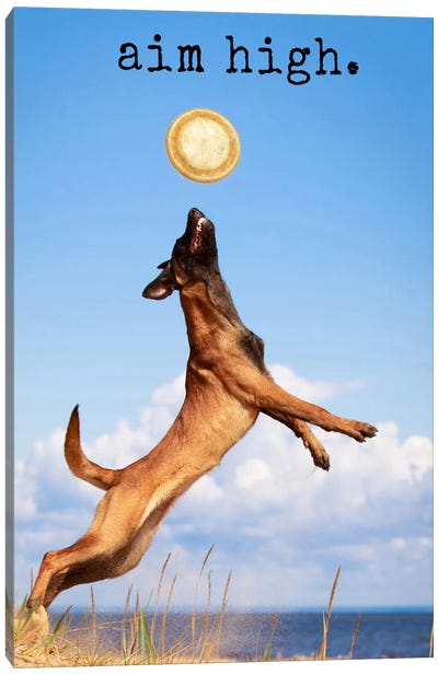 Aim High - Realistic Canvas Art Print - Dog Photography