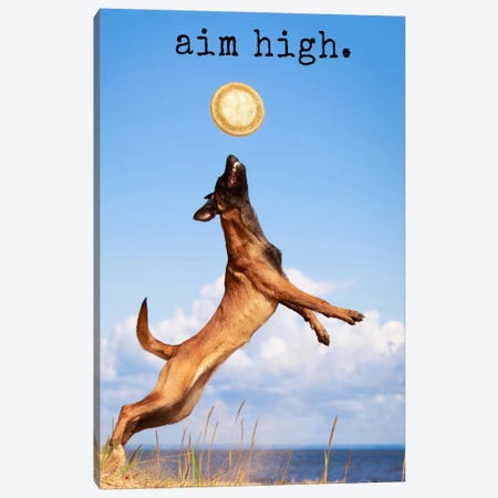 Aim High - Realistic Canvas Print #DIG2} by Dog is Good and Cat is Good Canvas Art