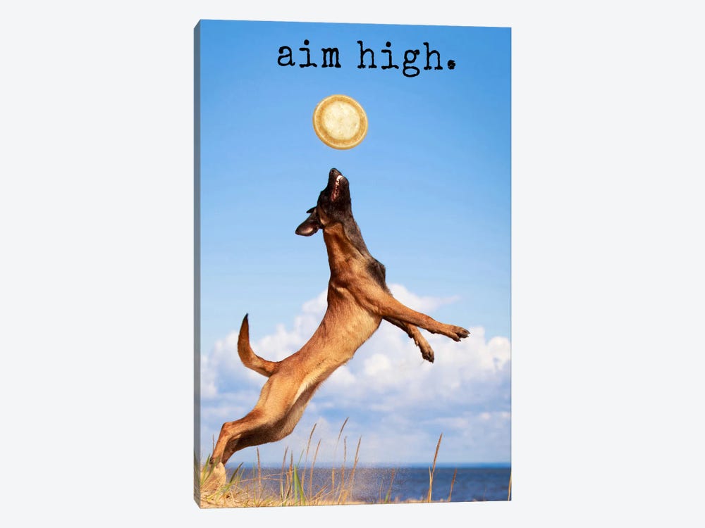 Aim High - Realistic by Dog is Good and Cat is Good 1-piece Canvas Artwork