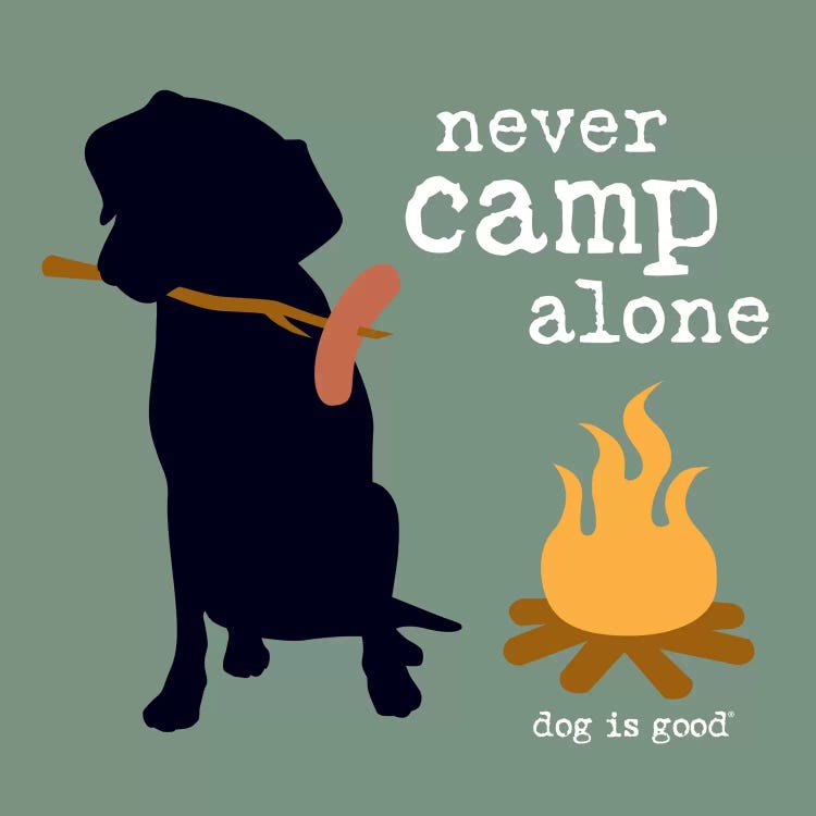 Never Camp Alone I by Dog is Good and Cat is Good wall art