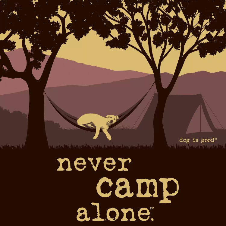 Never Camp Alone II