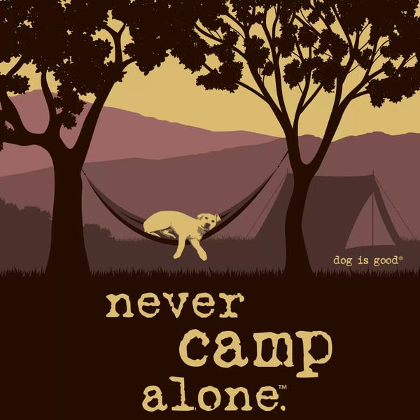 Adventure: Never Camp Alone II by Dog is Good and Cat is Good