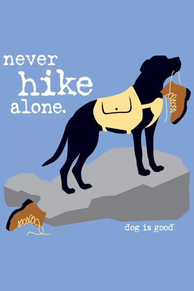Adventure: Never Hike Alone by Dog is Good and Cat is Good