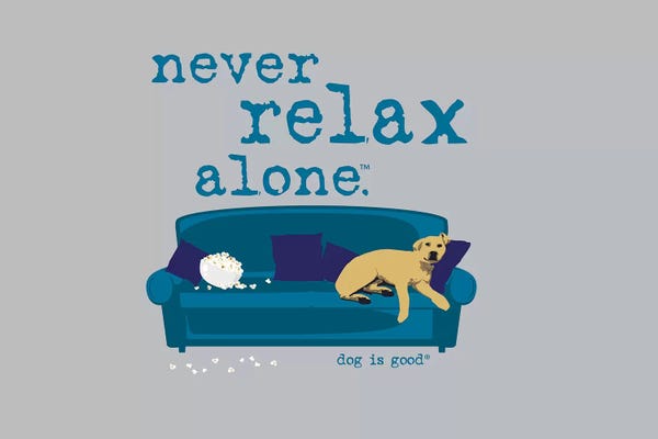 Labrador Retrievers: Never Relax Alone by Dog is Good and Cat is Good