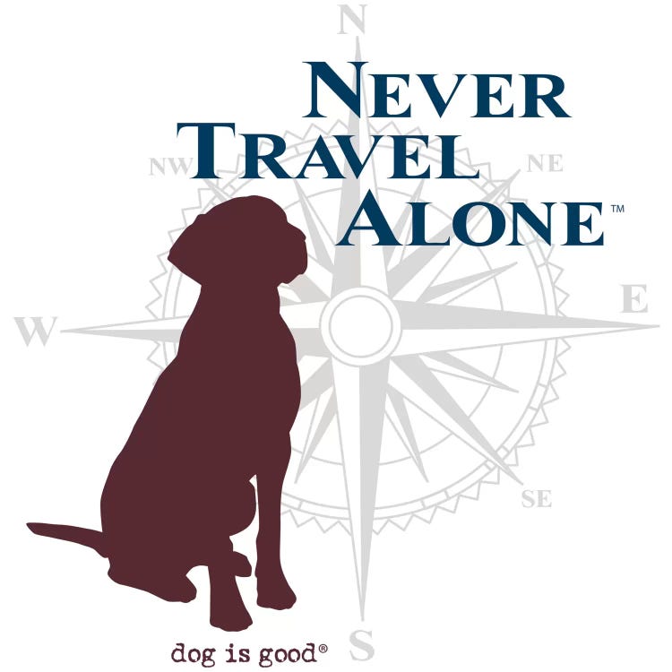 Never Travel Alone II by Dog is Good and Cat is Good wall art