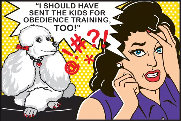 Poodles: Obedience Training by Dog is Good and Cat is Good
