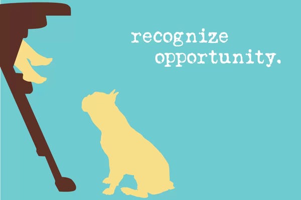 Adventure: Opportunity I by Dog is Good and Cat is Good