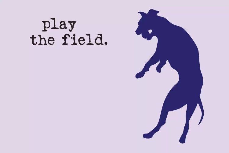 Play The Field